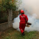 A pest control worker fogging in an outdoor space with smoke to eliminate pests.